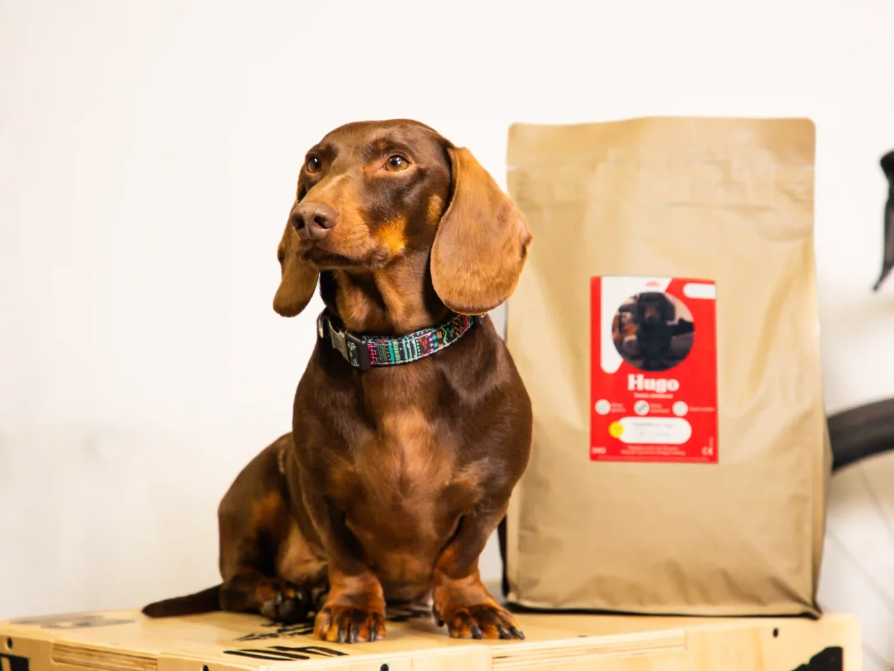 Ein brauner Dackel sitzt vor seinem personalisierten Futterbeutel