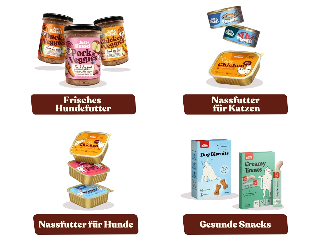 Entdecke unser gesundes Sortiment als Ergänzung zum personalisierten Trockenfutter. Etwa das frische Hundefutter, eine Auswahl an Nassfutter für Katzen und Hunde sowie leckere Snacks.