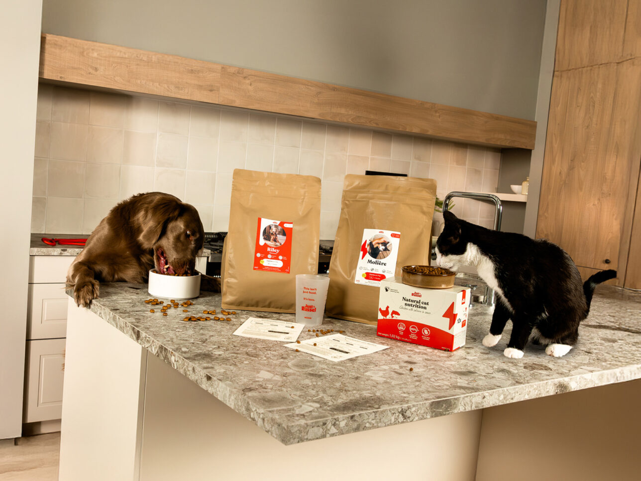 Hund und Katze fressen genüsslich aus ihren Futternäpfen, gefüllt mit Trockenfutter von Just Russel. Daneben sind die personalisierten Futterbeutel, die Futterpläne und ein Messbecher, sowie Nassfutter für Katzen.