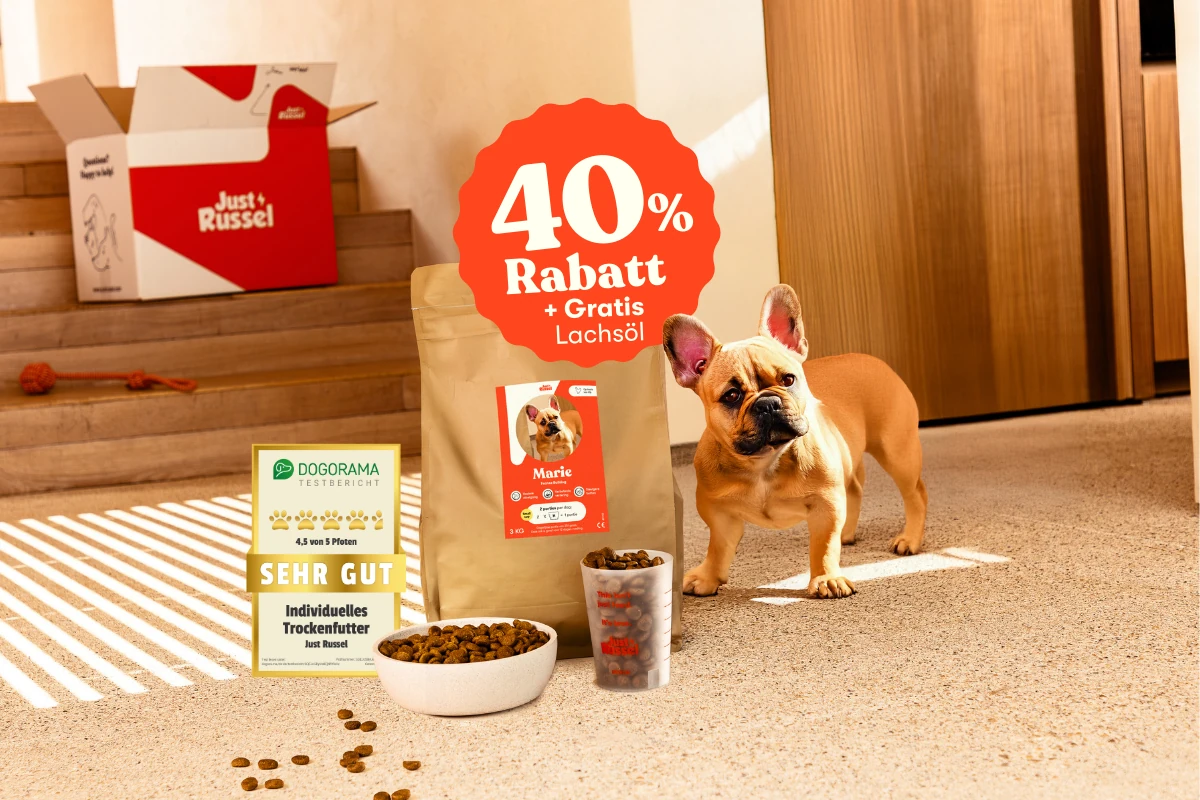 Französische Bulldogge Marie mit personalisiertem Just Russel Futterbeutel, Messbecher und Napf mit Trockenfutter, von Dogorama mit sehr gut bewertet. Jetzt probieren mit 40% Rabatt + gratis Lachsöl.