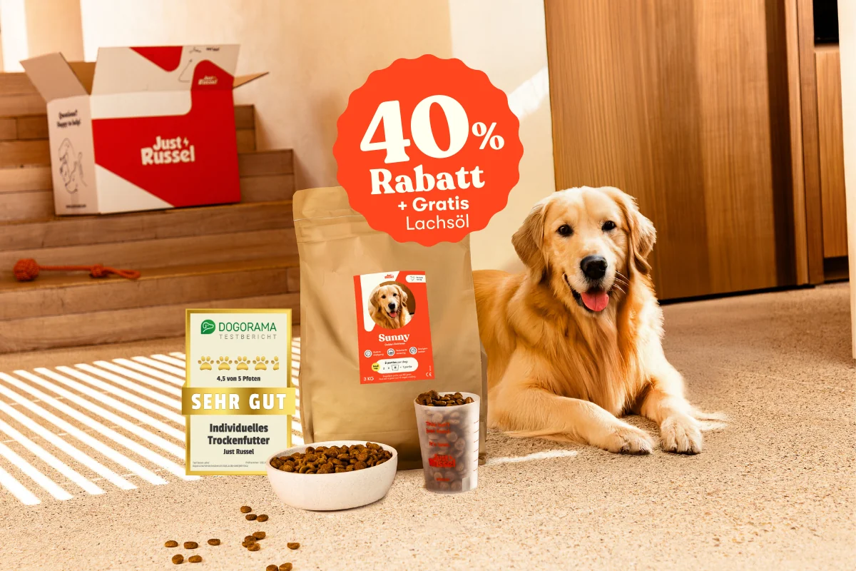 Golden Retriever Sunny mit personalisiertem Just Russel Futterbeutel, Messbecher und Napf mit Trockenfutter, von Dogorama mit sehr gut bewertet. Jetzt probieren mit 40% Rabatt + gratis Lachsöl.