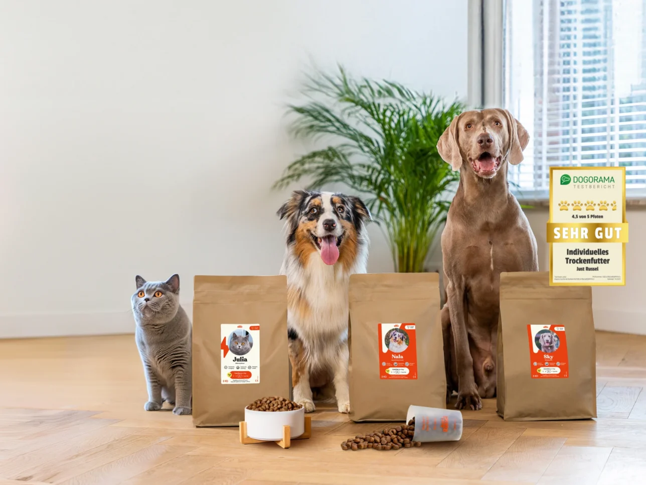 Zwei Hunde und eine Katze mit ihren personalisierten Futterbeuteln von Just Russel. Dogorama hat das Futter mit der Note "sehr gut" bewertet.