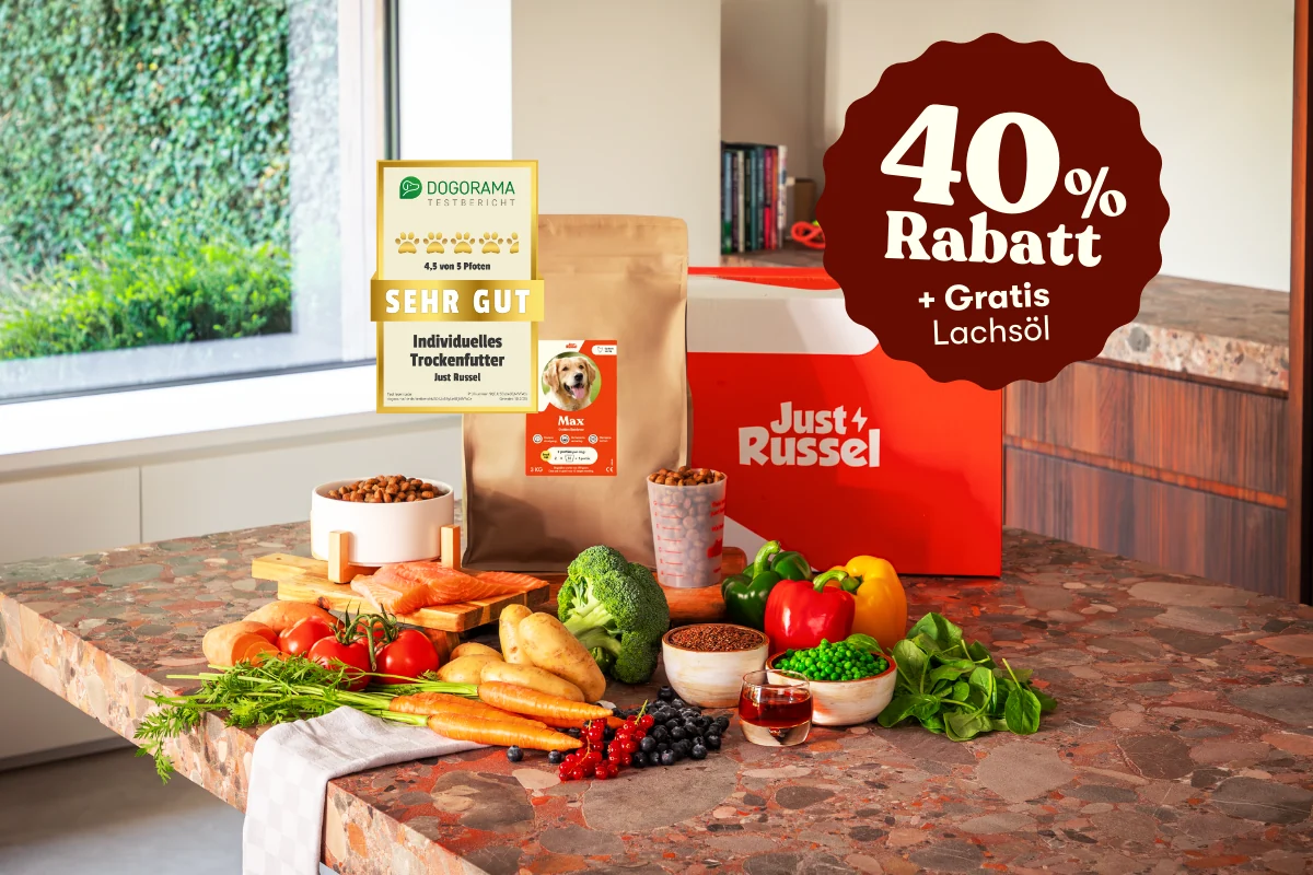 Just Russel personalisiertes Trockenfutter auf einem Tisch, umgeben von frischem Obst und Gemüse, die die natürlichen Zutaten des Futters darstellen.