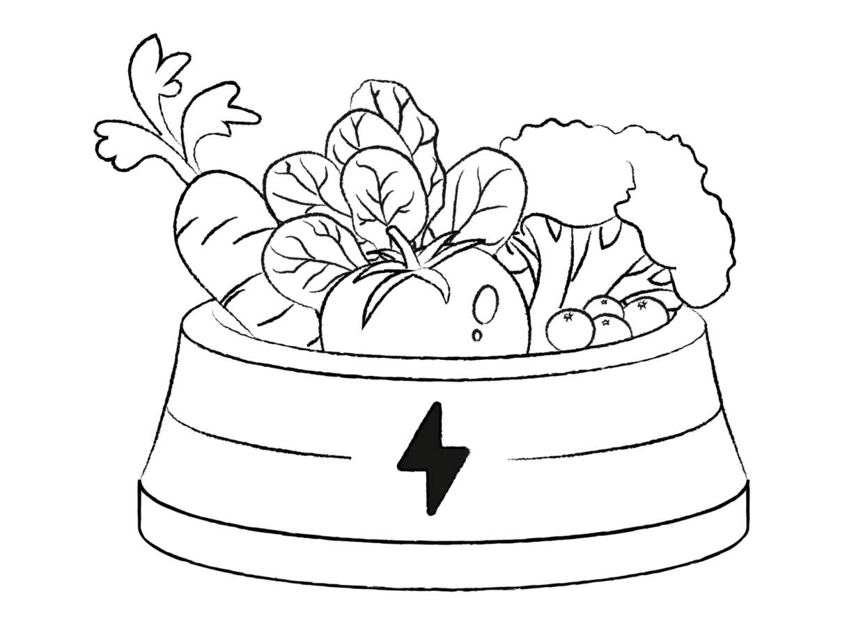 Illustration einer Just Russel Schüssel gefüllt mit frischem, gesundem Gemüse und Hundefuttter.