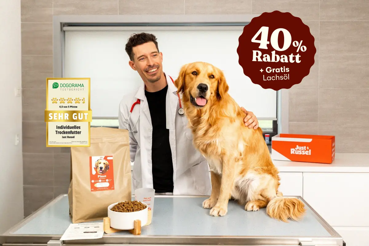 Tierarzt mit Golden Retriever und Just Russel Hundefutter auf Untersuchungstisch – 40 % Rabatt und gratis Lachsöl