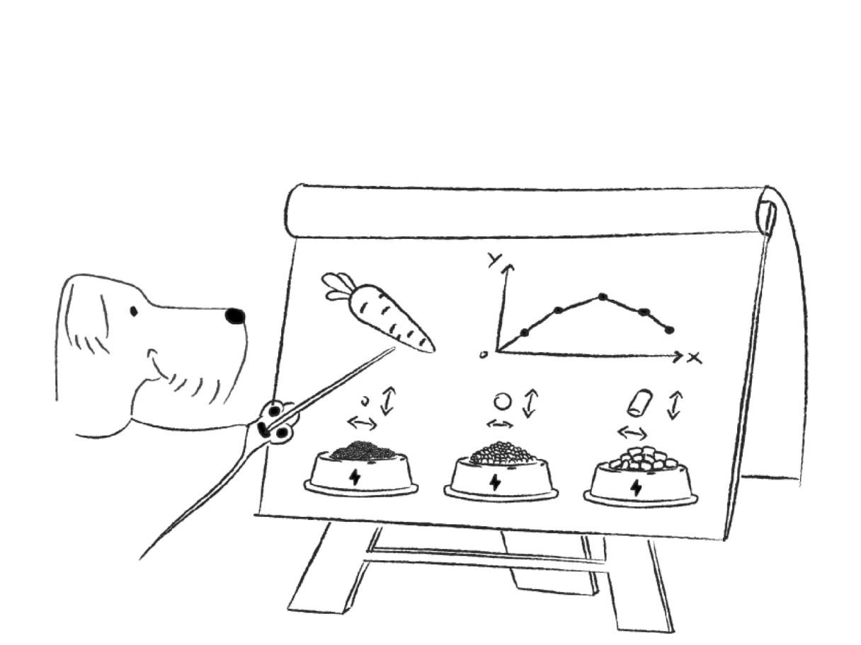 Illustration eines Hundes, der mit einem Zeigestock auf eine Tafel mit Diagrammen und Futterschalen zeigt.