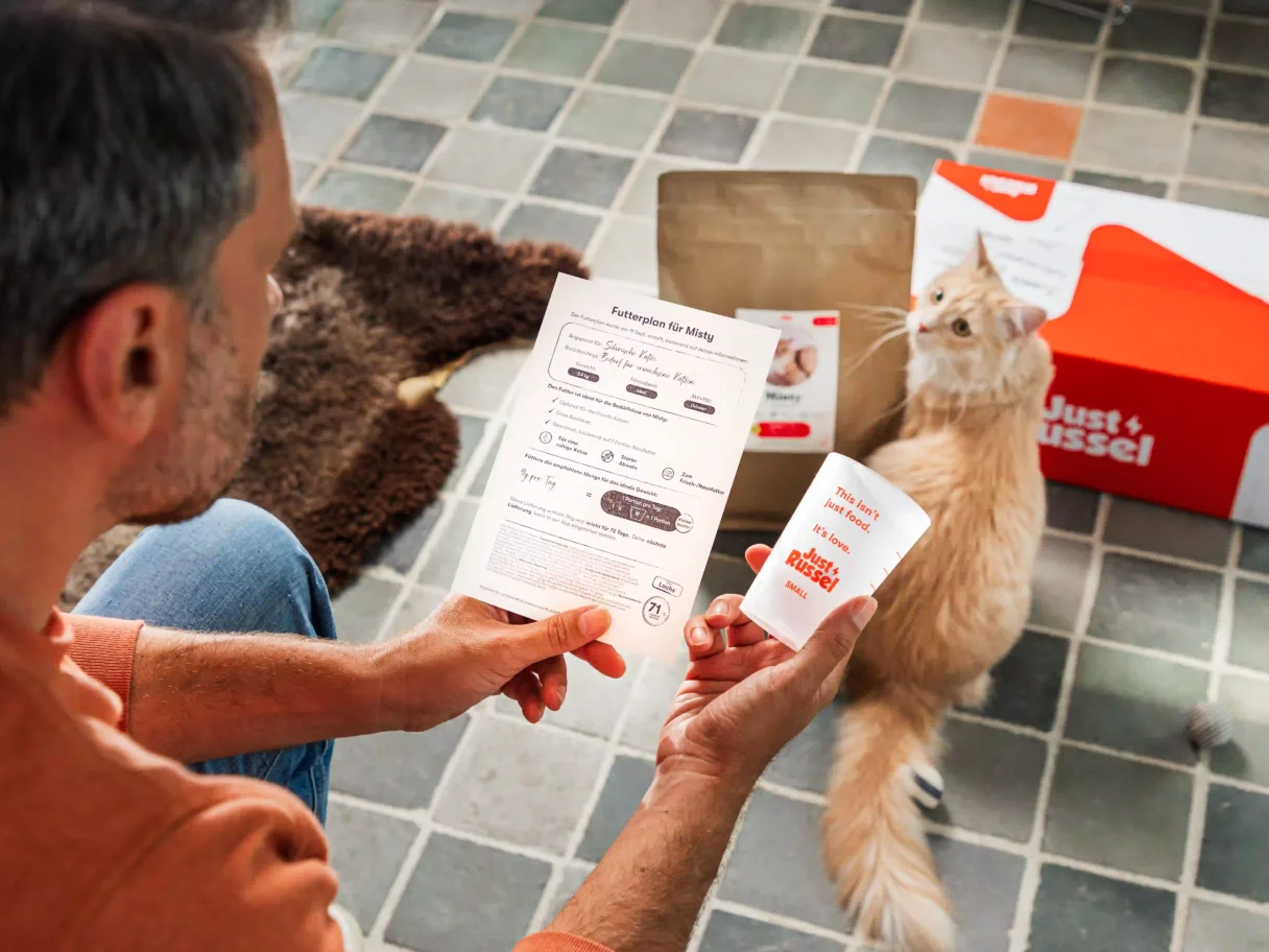 Besitzer betrachtet den personalisierten Futterplan und den Messbecher für das Futter seiner Katze. Im Hintergrund erkundet die Katze neugierig ihr neues Futter von Just Russel.