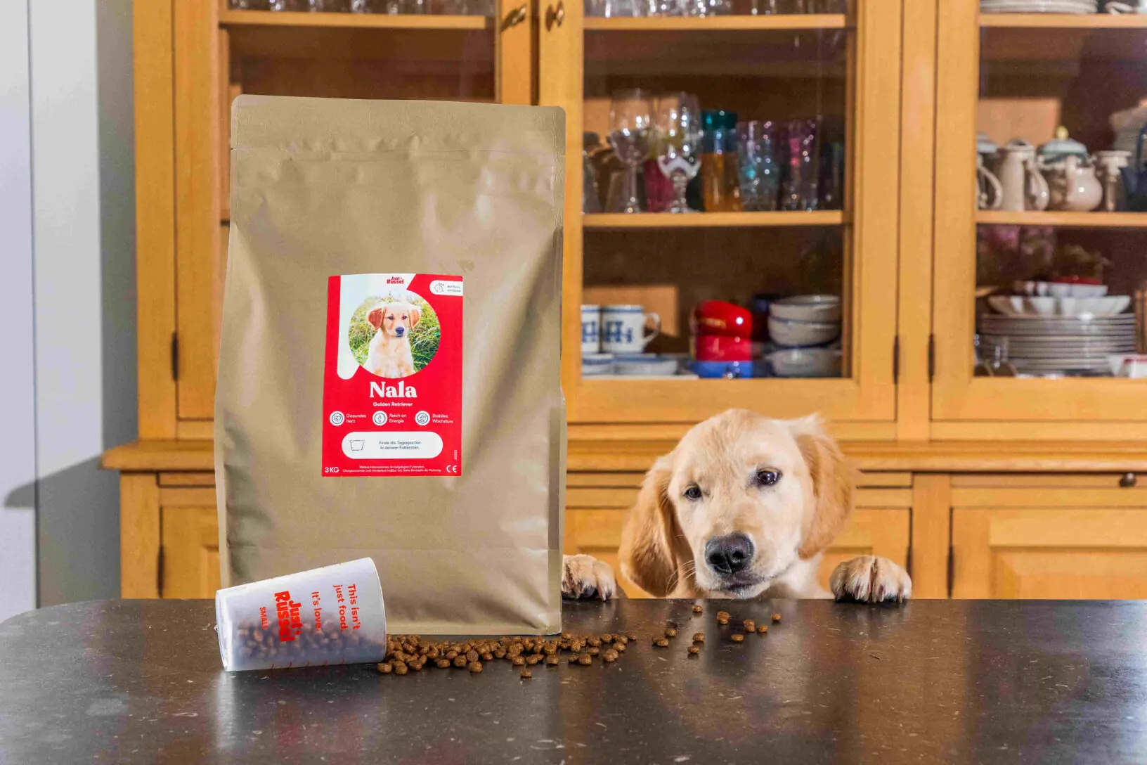 Golden Retriever Welpe Nala betrachtet neugierig den Küchentisch, auf dem ihr personalisiertes Futter von Just Russel verteilt liegt.