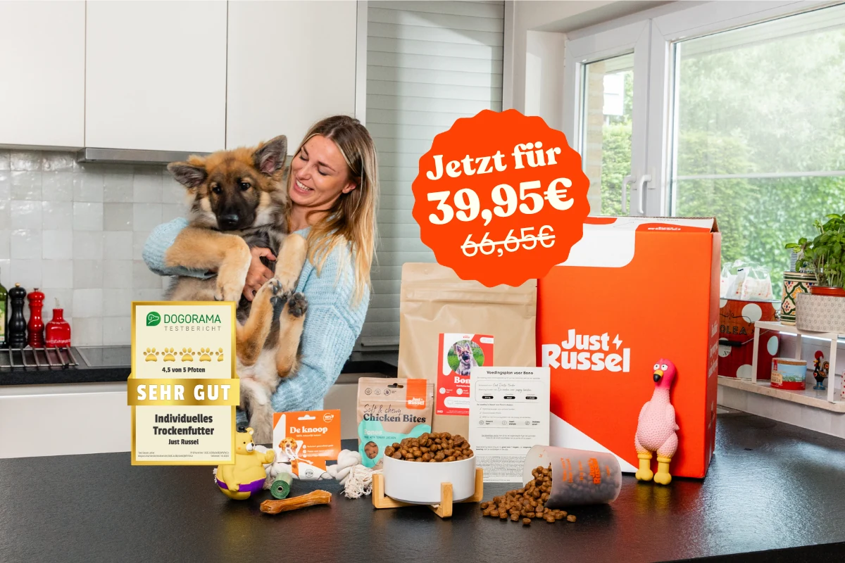 Eine Frau hält ihren Welpen auf dem Arm. Vor ihnen liegt das Welpenpaket von Just Russel auf dem Tisch.