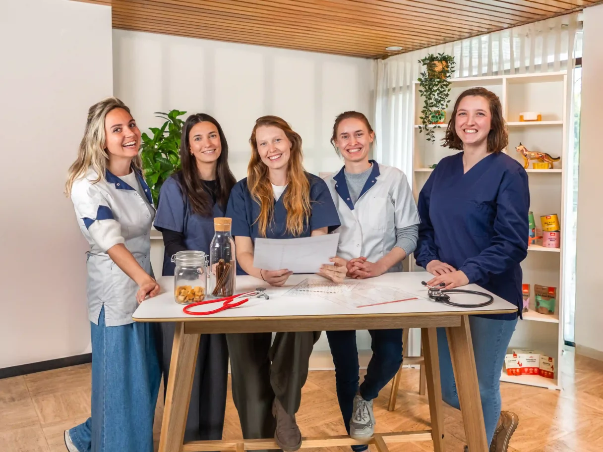 Das Tierärzte- und Ernährungsexperten-Team von Just Russel