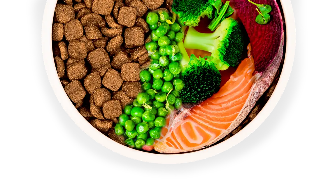 Schüssel mit Individuellem Katzen Trockenfutter, Lachs, Brokkoli, Erbsen und Rote Bete – gesunde und natürliche Zutaten für Haustiere.