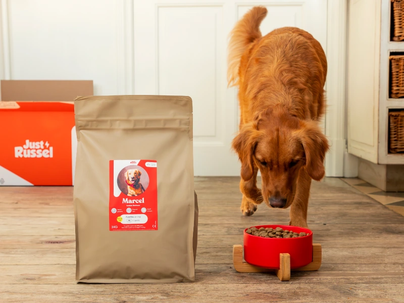 Golden Retriever läuft zu seinem Napf voll mit Trockenfutter. Neben ihm steht sein personalisierter Futterbeutel von Just Russel mit einem Foto von ihm drauf.