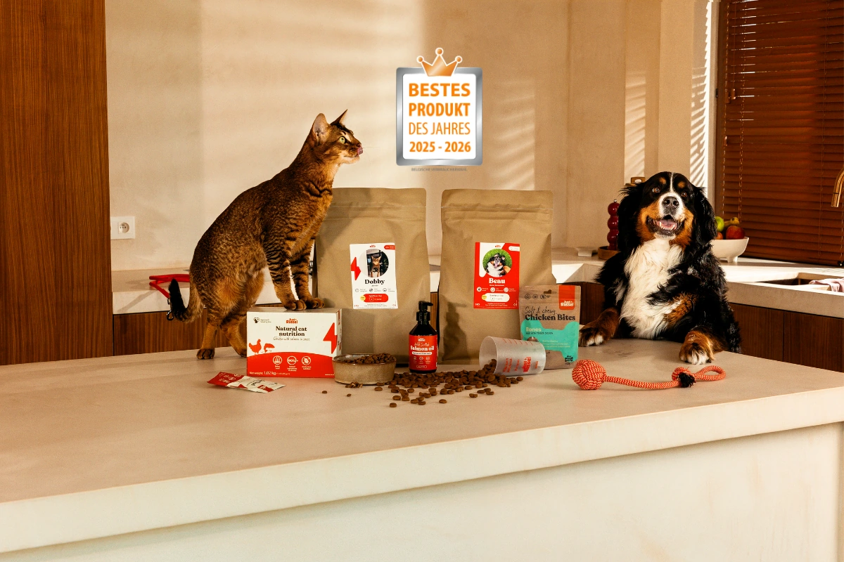 Just Russel Tier-Produkte, präsentiert von einer Katze und einem Hund, ausgezeichnet mit dem Qualitätssiegel „Bestes Produkt des Jahres 2025–2026“