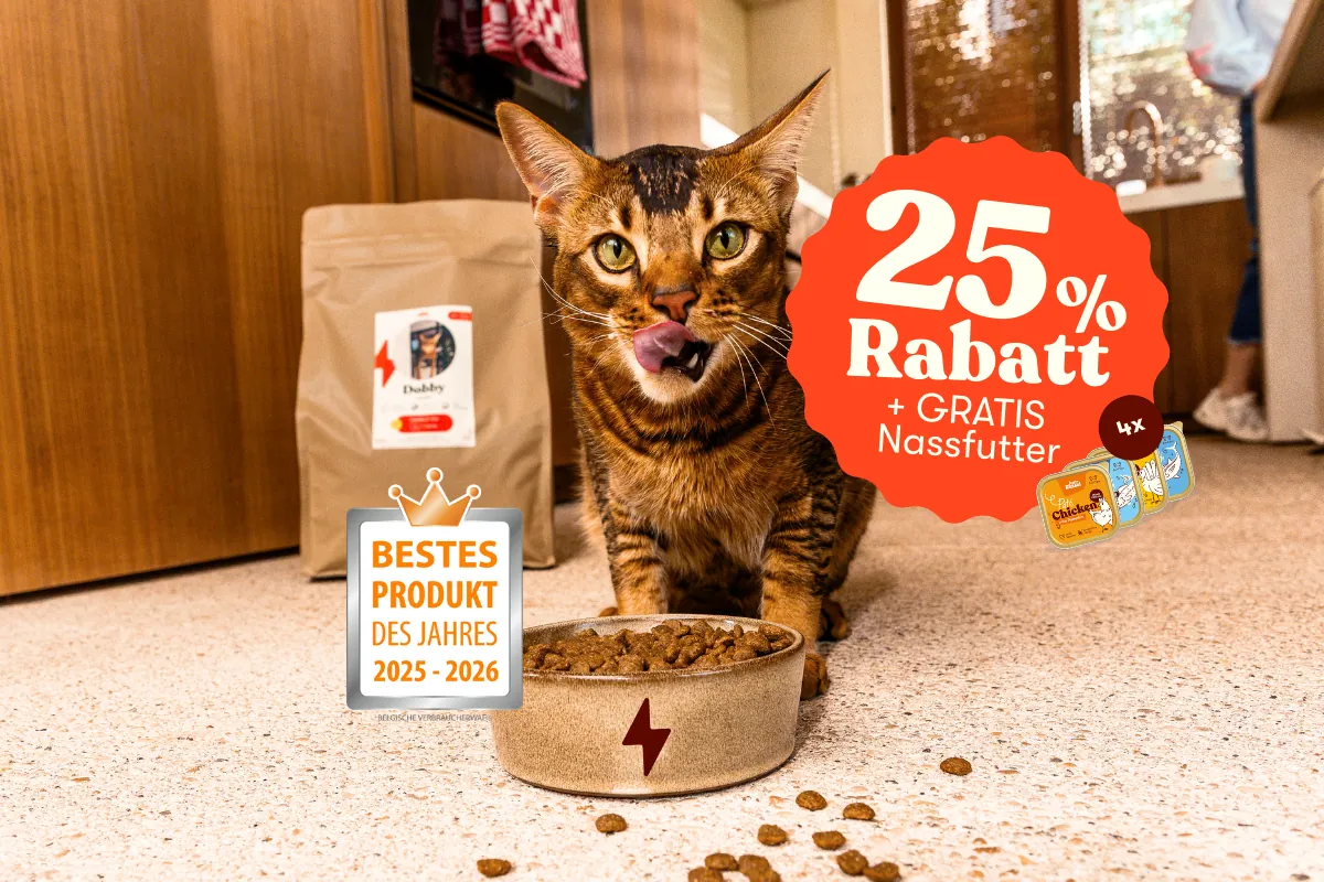 Eine braune Katze sitzt auf dem Boden und frisst genüsslich ihr Trockenfutter. Hinter steht der personalisierte Futterbeutel von Just Russel. Das Futter wurde zum Produkt des Jahres gewählt und es gibt 25% Rabatt sowie gratis Nassfutter on top.