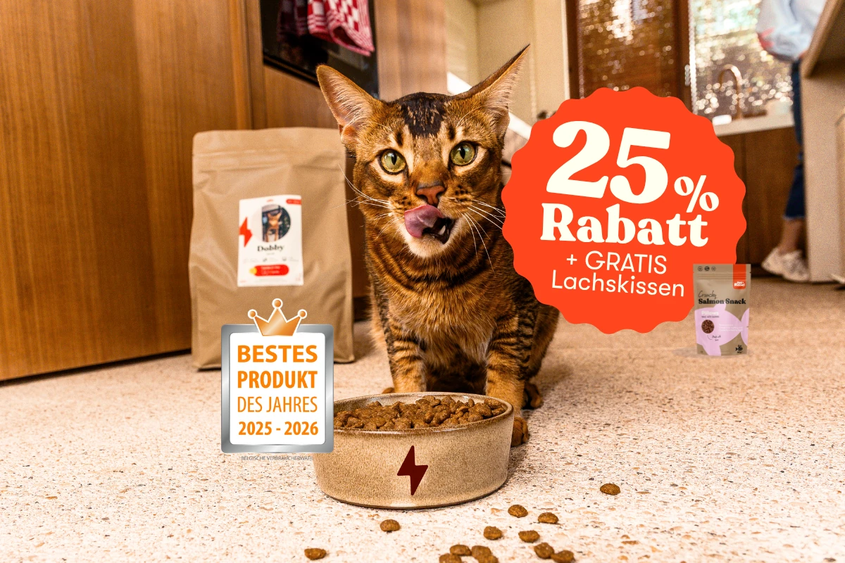 Katze leckt sich 25% Rabatt + Lachkissen/salmon pillows