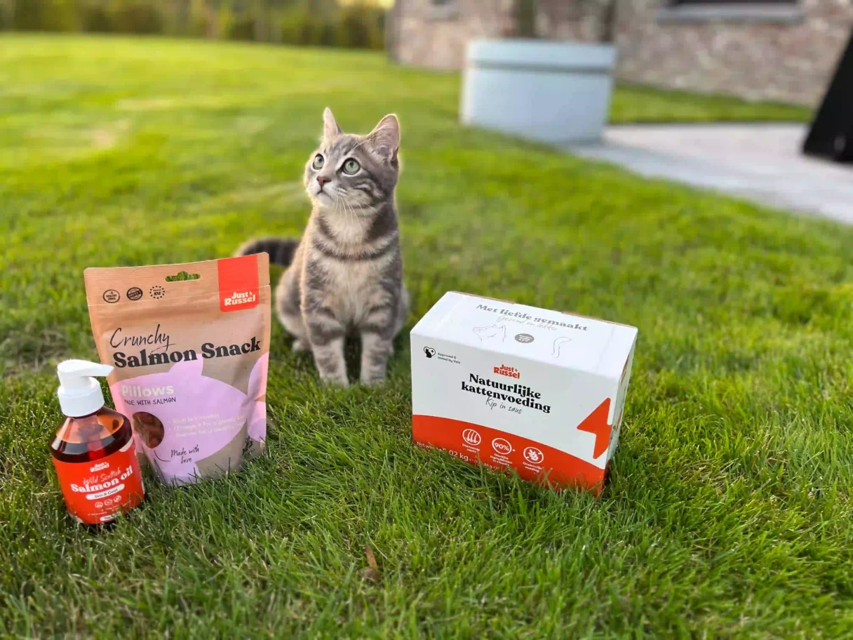 Eine Katze sitzt auf einer Wiese und vor ihr liegt das Sortiment von Just Russel.