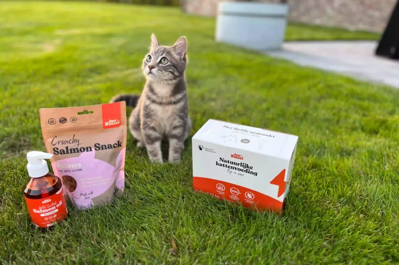 Eine Katze sitzt auf einer Wiese und vor ihr liegt das Sortiment von Just Russel.