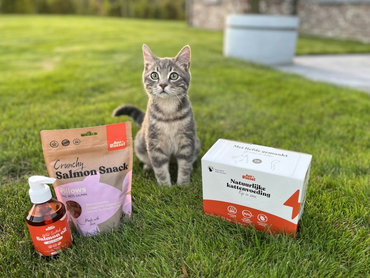 Katze steht auf dem Rasen neben Just Russel Produkten, darunter eine Packung Lachs-Snacks und eine Futterbox.