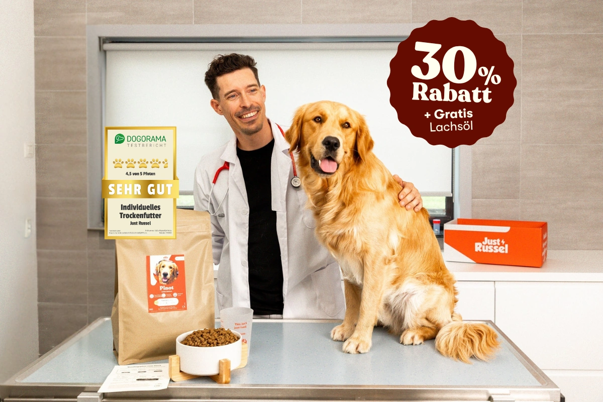 Tierarzt Tobias mit golden retriever 30% rabatt